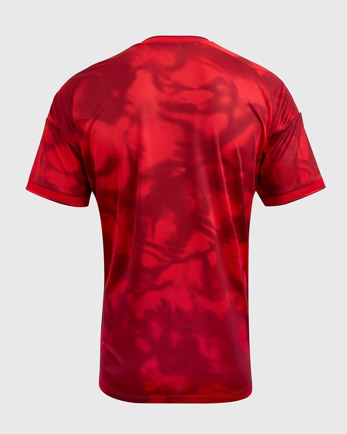 Home 26/27 Men's Shirt back